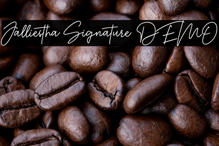 Jalliestha Signature DEMO Example 3