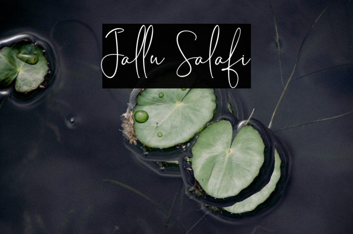 Jallu Salafi Example 2