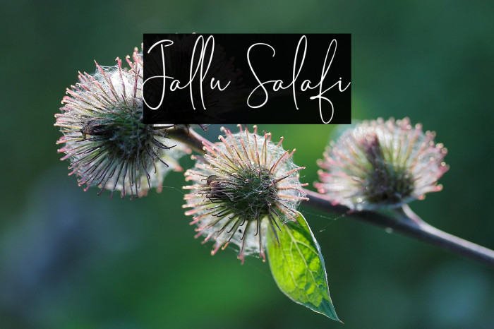 Jallu Salafi Example 3