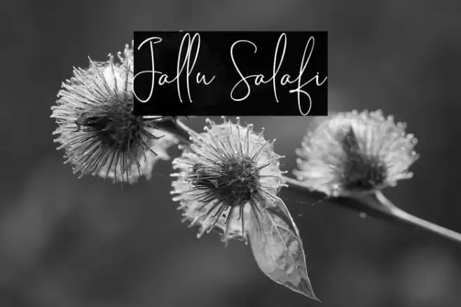 Jallu Salafi Font examples