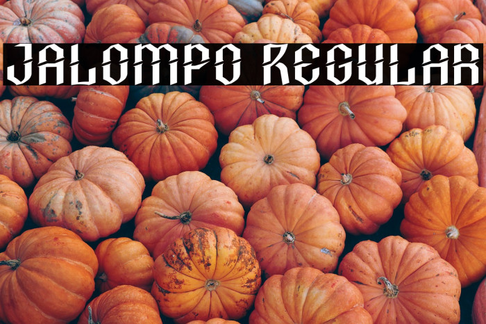 Jalompo Regular Example 3