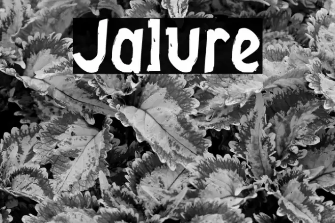 Jalure Font examples