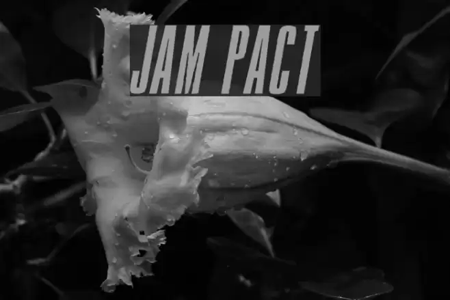 Jam Pact Font examples