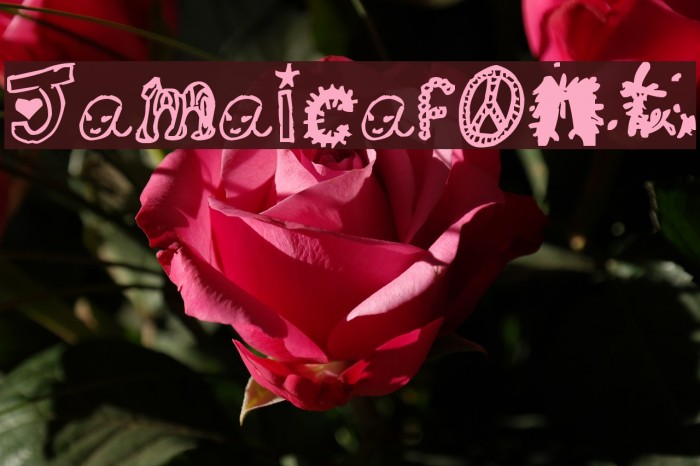 Jamaicafont Font examples