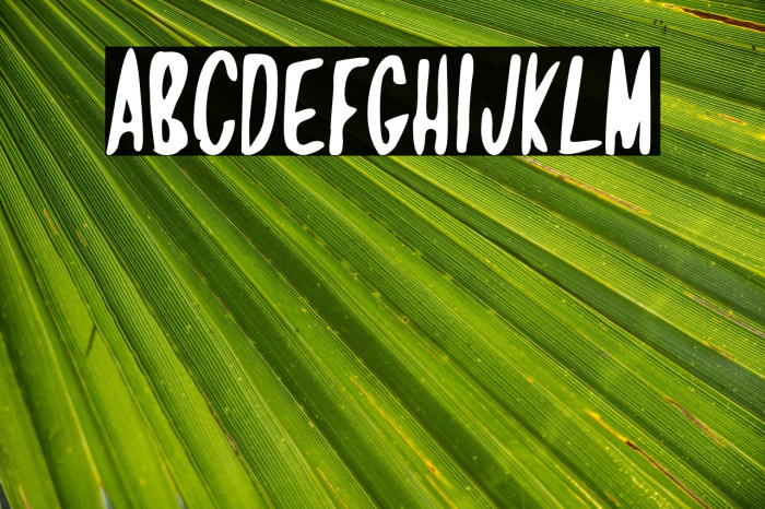 Jamaican Crow Example 1