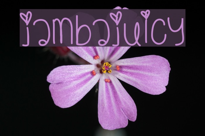 JambaJuicy Font examples