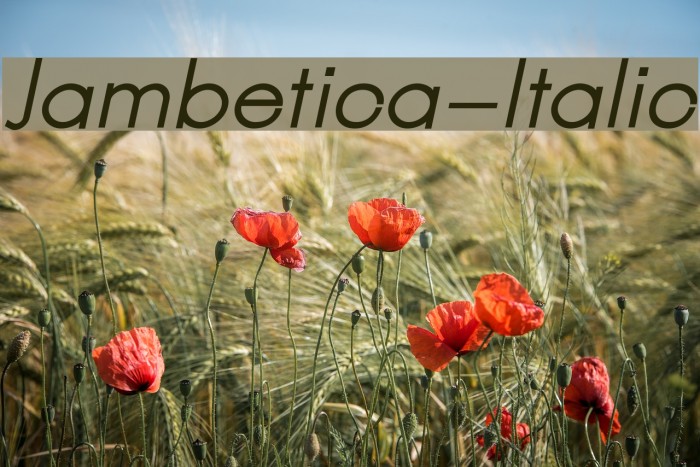 Jambetica-Italic Font examples