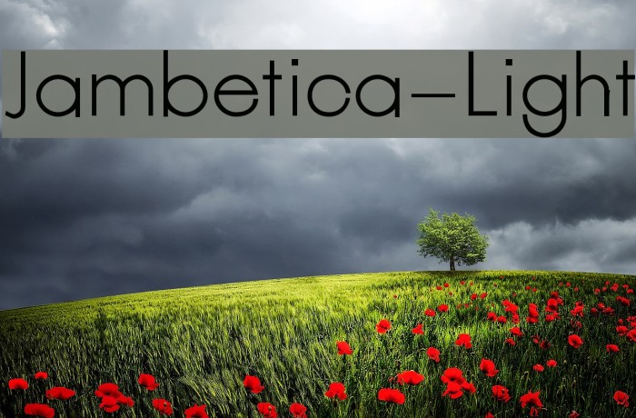 Jambetica-Light Example 3