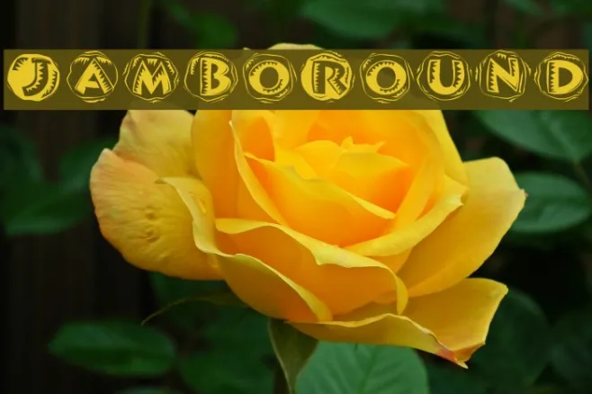 JamboRound Example 1