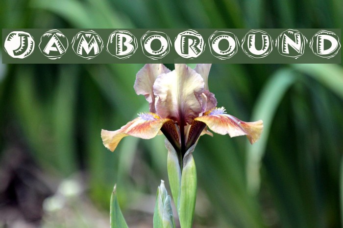 JamboRound Font examples