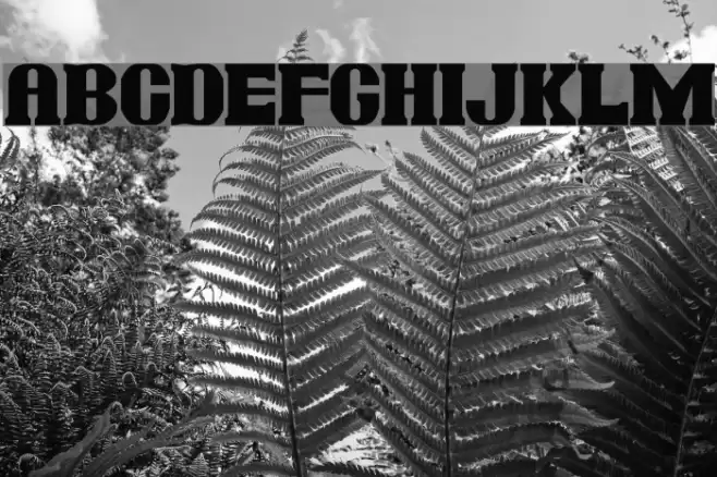 Jambon Font examples