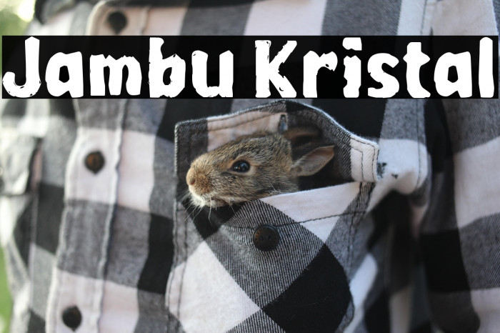 Jambu Kristal Example 3