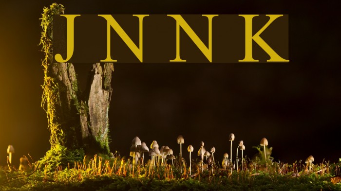 Jameel Noori Nastaleeq Kasheeda Example 1