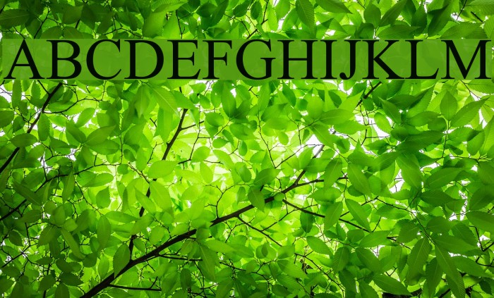 Jameel Noori Nastaleeq Example 3