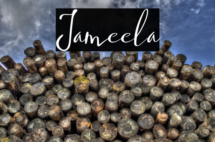 Jameela Example 3