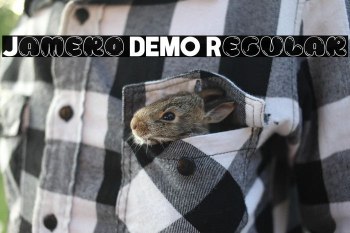 Jamero DEMO Regular Example 1