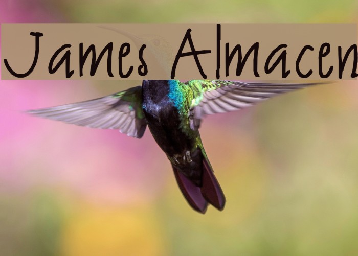 James Almacen Font examples