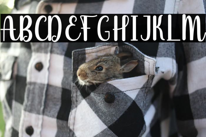 James Ariyale Example 3