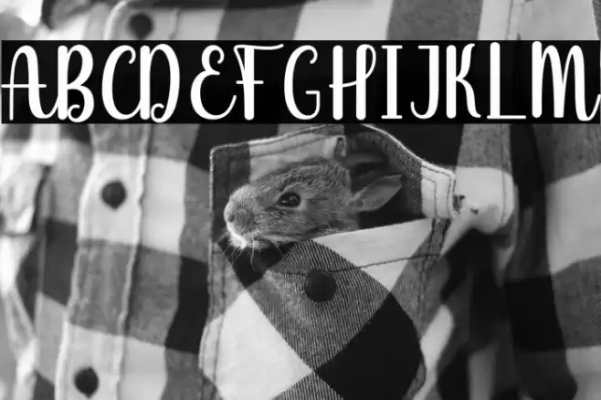 James Ariyale Font examples