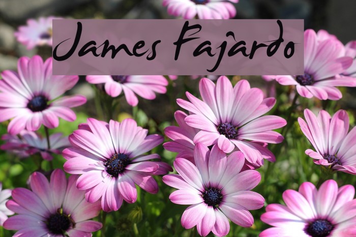 James Fajardo Font examples