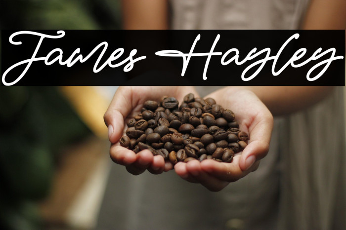 James Hayley Example 1