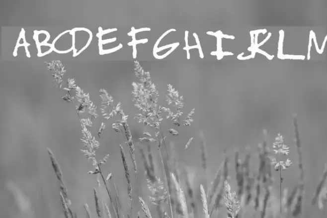 James Tan Dinawanao Font examples