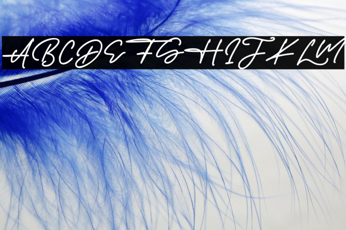 JamesHayley Example 2