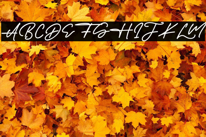 JamesHayley Example 3