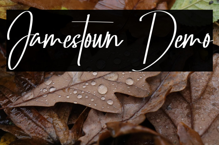 Jamestown Demo Font examples