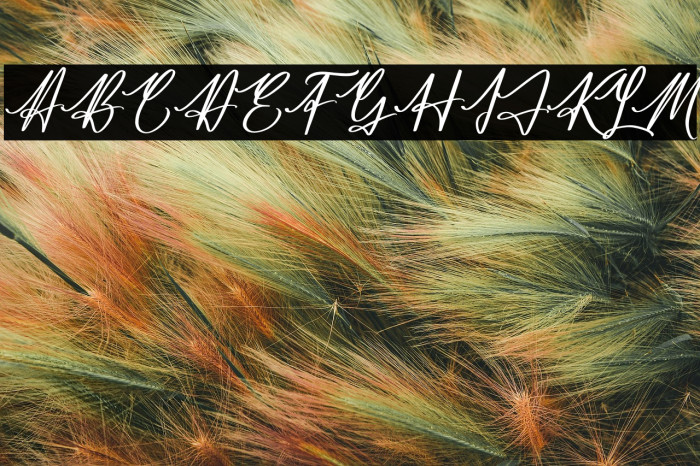 Jamesttedy Signature Example 1