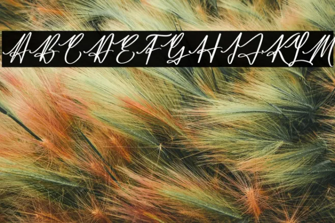 Jamesttedy Signature Example 1