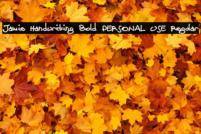 Jamie Handwriting Bold PERSONAL USE Regular Example 1