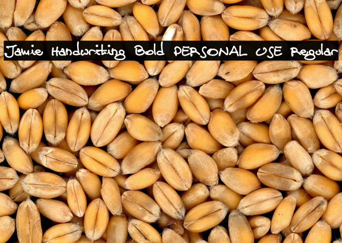 Jamie Handwriting Bold PERSONAL USE Regular Example 2