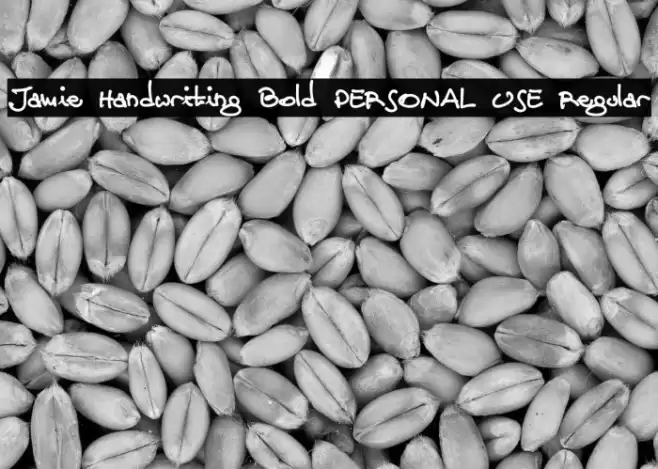 Jamie Handwriting Bold PERSONAL USE Regular Font examples