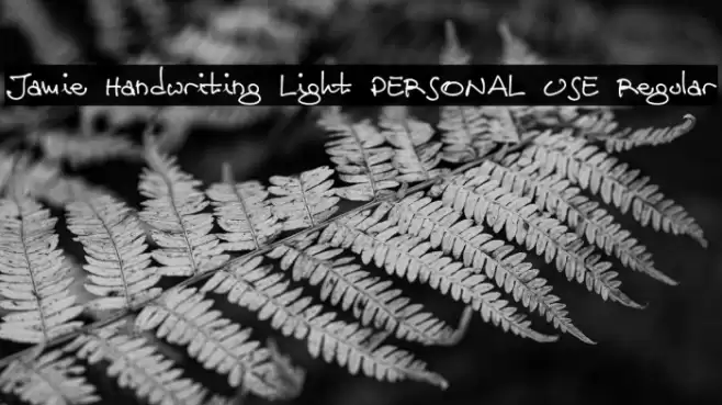 Jamie Handwriting Light PERSONAL USE Regular Font examples