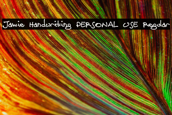 Jamie Handwriting PERSONAL USE Regular Example 2