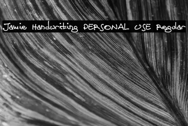 Jamie Handwriting PERSONAL USE Regular Font examples
