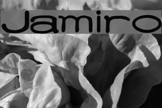 Jamiro Font examples