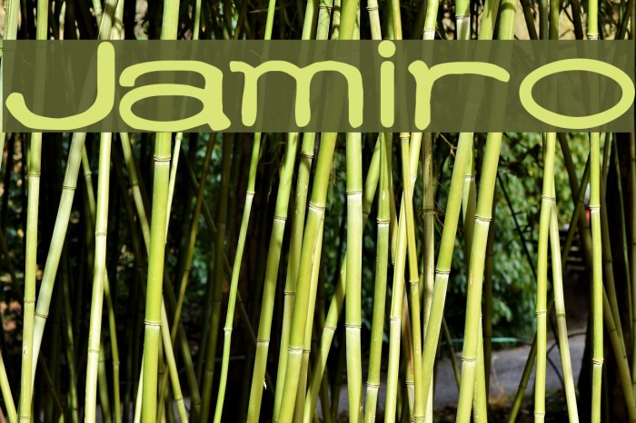 Jamiro Font examples