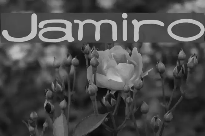 Jamiro Font examples