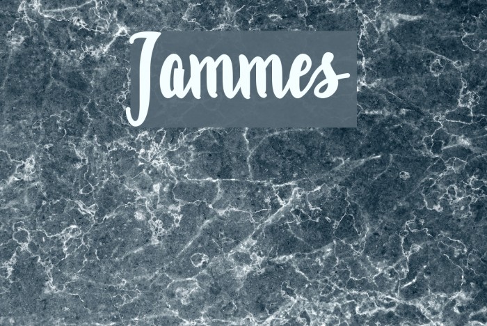 Jammes Example 3