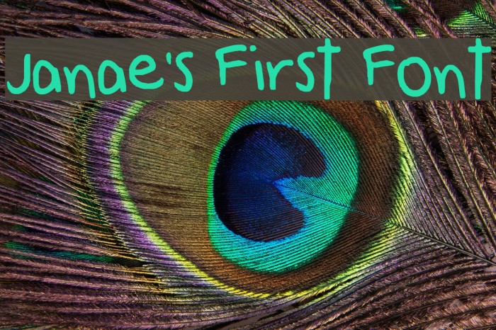 Janae's First Font Font examples