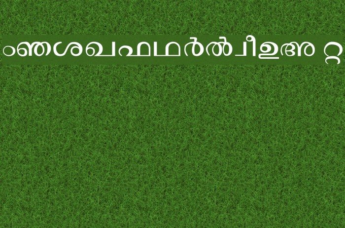 Janaranjani Regular Example 1