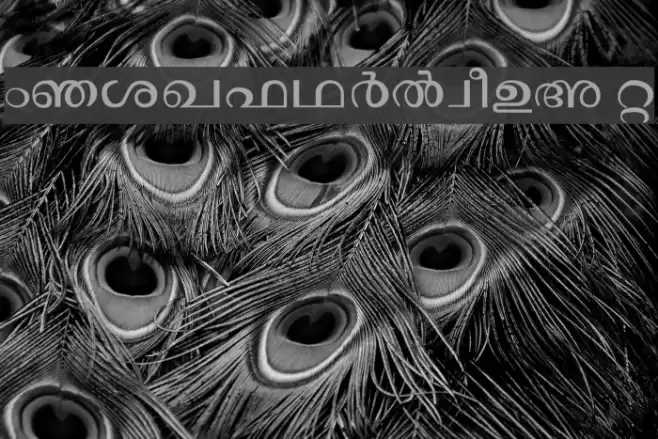 Janaranjani Regular Font examples