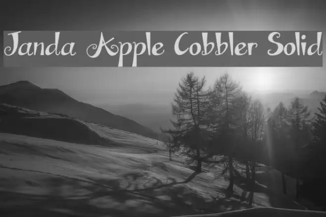 Janda Apple Cobbler Solid Font examples