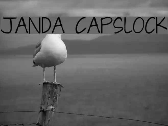 Janda Capslock Font examples