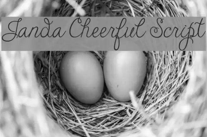 Janda Cheerful Script Font examples