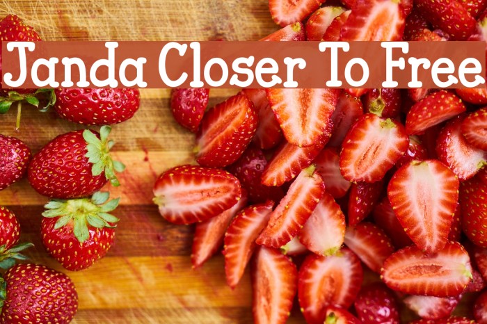 Janda Closer To Free Font examples