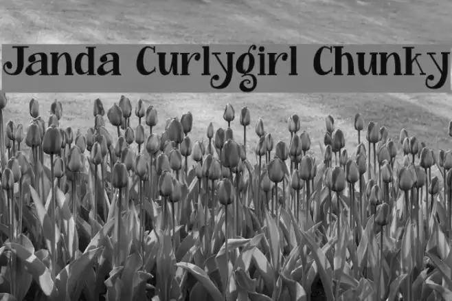 Janda Curlygirl Chunky Font examples