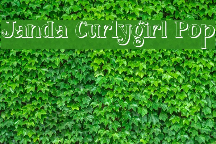 Janda Curlygirl Pop Font examples